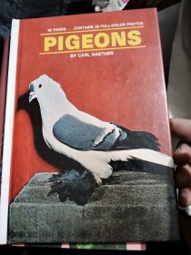 PlGE0NS（签名本）