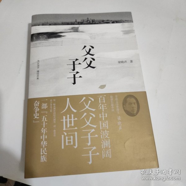 父父子子（第十届茅盾文学奖得主、电视剧《人世间》原著作者梁晓声长篇力作!）