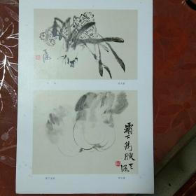 国画:《水仙》《霜下隽腴》（贺天健画/活页/8开）