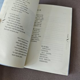 【有水渍】布莱克诗选:英汉对译|C1