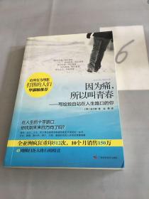 因为痛，所以叫青春：写给独自站在人生路口的你。。。。。。。