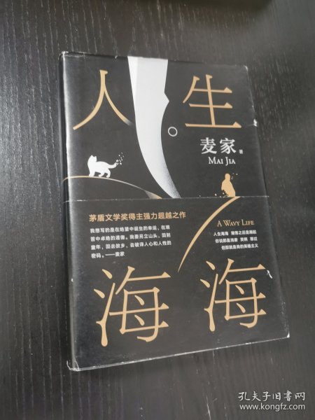 麦家：人生海海（茅盾文学奖得主麦家2019年强力之作）