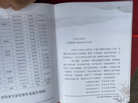 龙陵·赧洒杨氏有林祖续修支谱 杨氏支谱 大16开精装