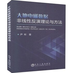 大地电磁数据非线性反演理论与方法