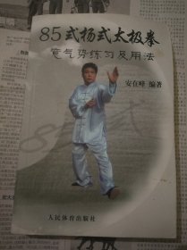 85式杨式太极拳