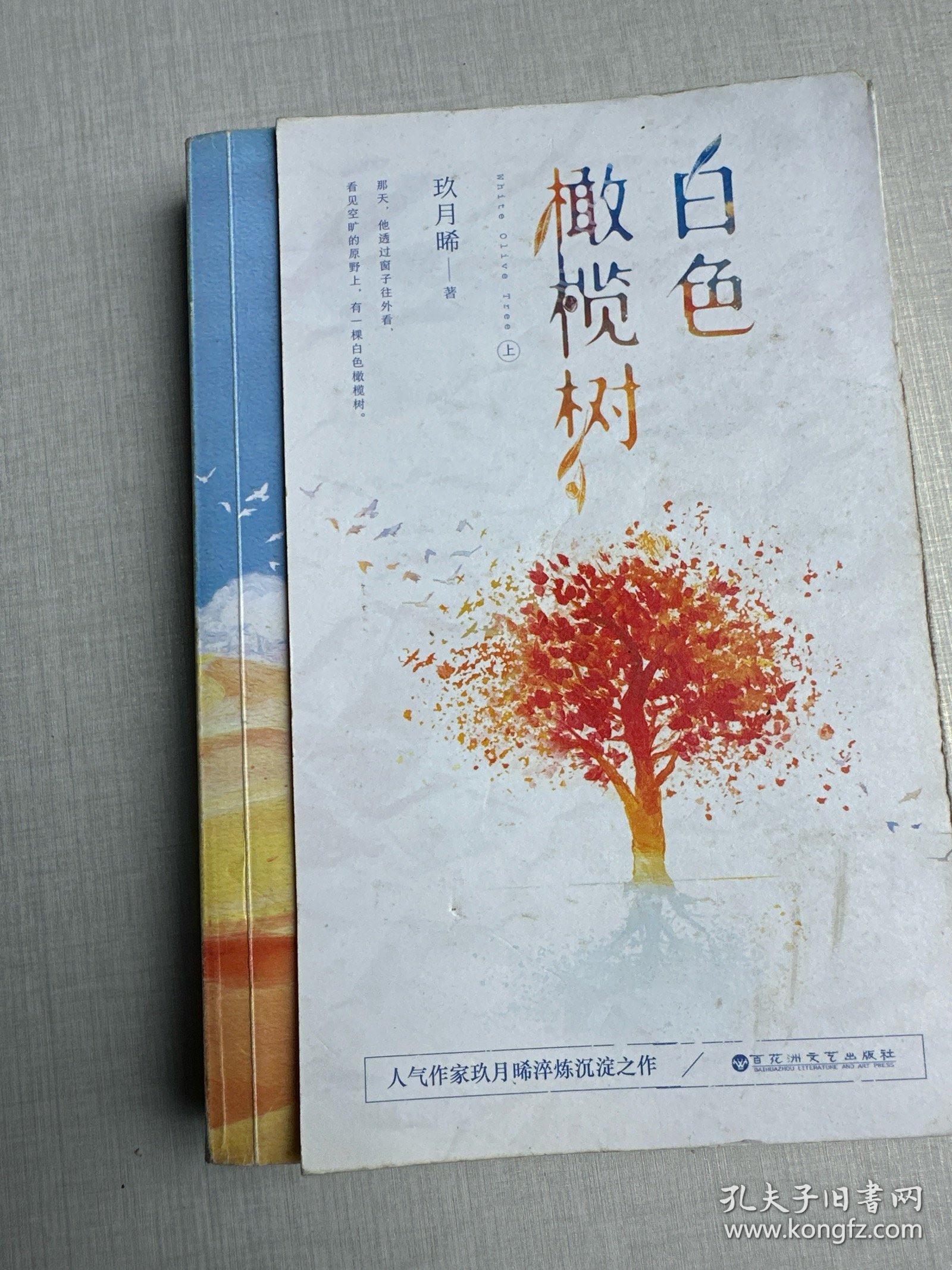 白色橄榄树（上）