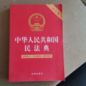 中华人民共和国民法典（法律条文·司法解释·典型案例 2022年大字版）