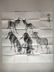 小毛驴赵忠祥