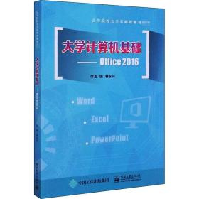 大学计算机基础——office2016 大中专理科计算机 林永兴 编 新华正版