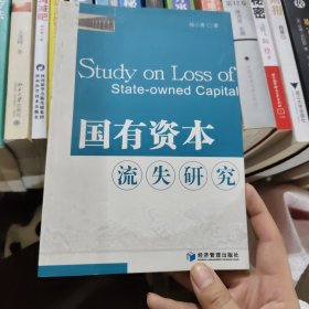 国有资本流失研究