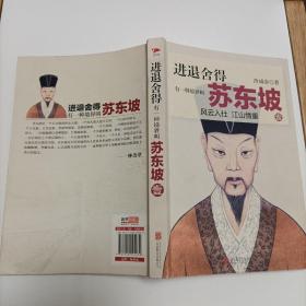 进退舍得：有一种境界叫苏东坡1（风云入仕 江山情重）