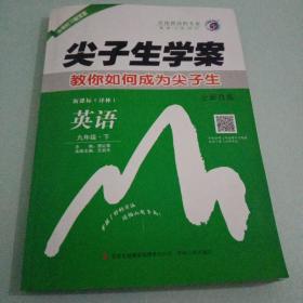 尖子生学案：英语（九年级·下 新课标译林 全新改版）