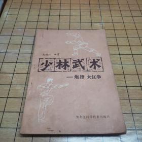 少林武术 少林武术炮捶大红拳