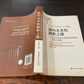 通向未来的制胜之路：知识产权经济及其竞争优势的理论与实践