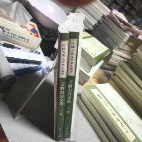 中国古典文学基本丛书：王船山詩文集（全二冊）