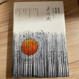世纪文学经典：张贤亮精选集