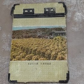 农业学大寨，本夹子
