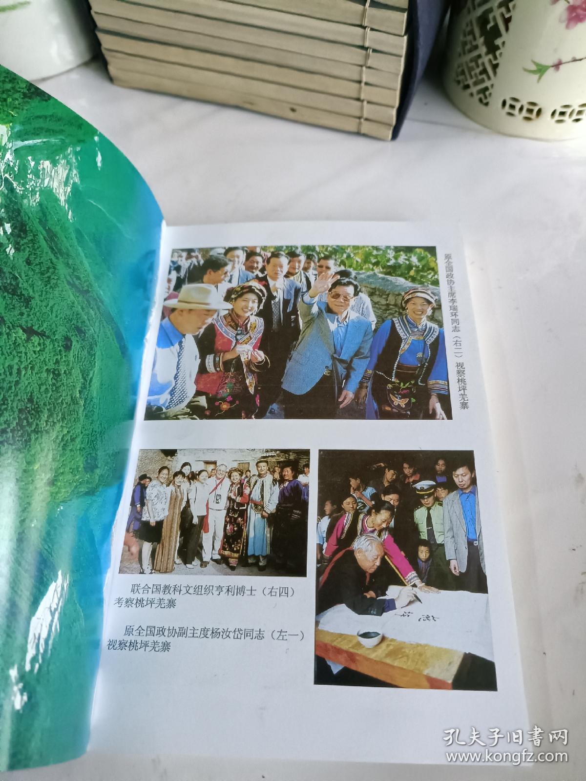 理县政协文史资料选辑（第二辑）