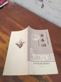 青春泪 七场现代梆子戏