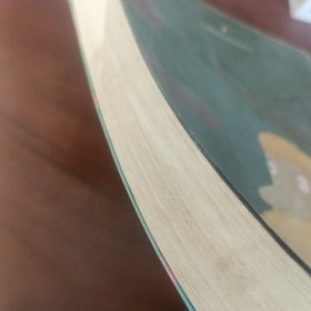 鲁滨 孙漂流记