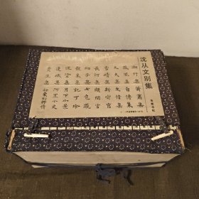 沈从文别集：沈从文别集(全20册)1995年二印