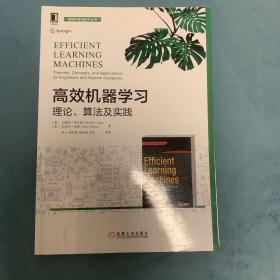 高效机器学习：理论、算法及实践