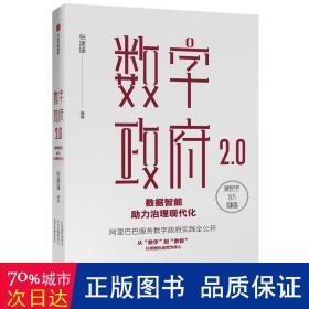 数字政府2.0：数据智能助力治理现代化