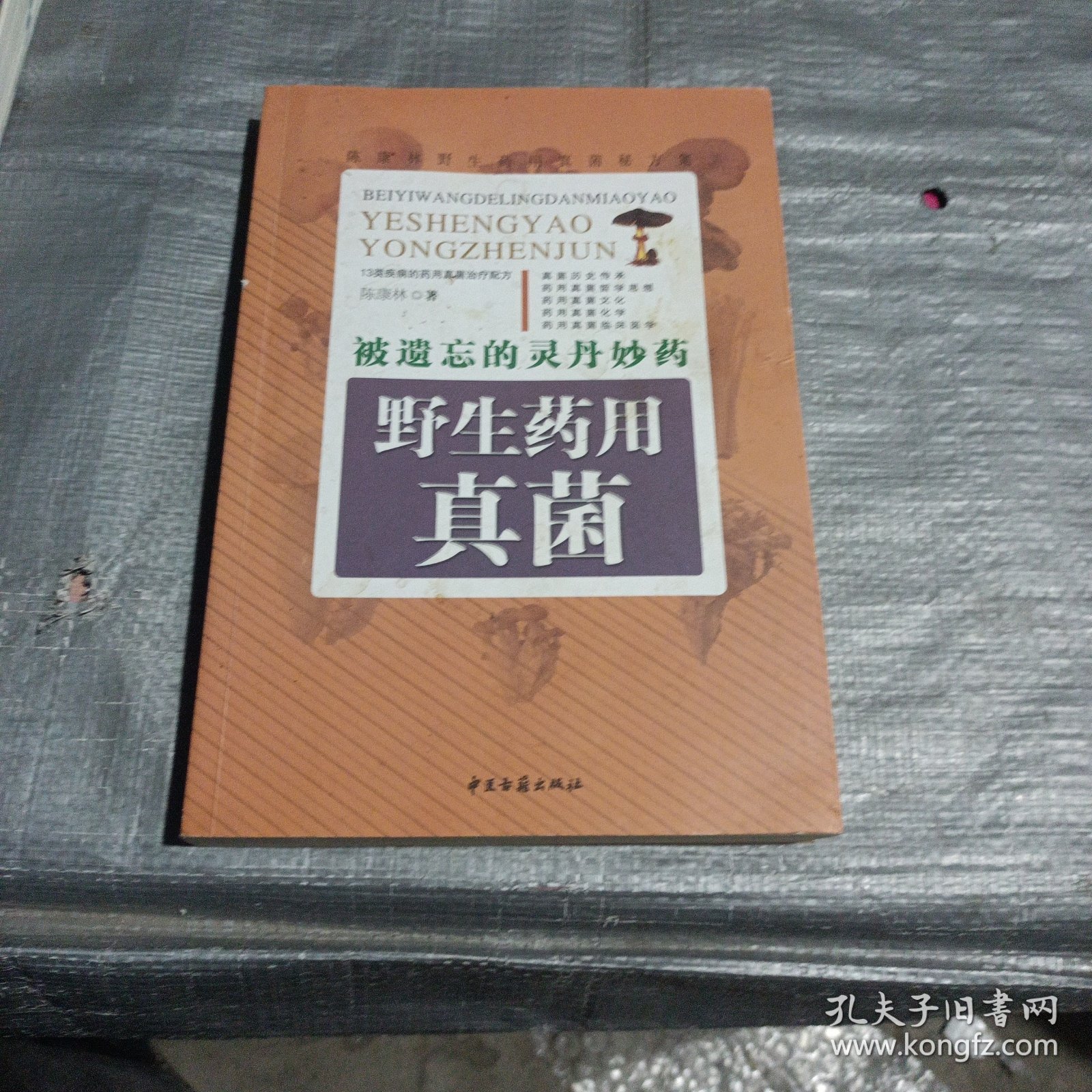 被遗忘的灵丹妙药——野生药用真菌