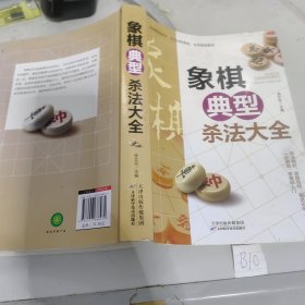 象棋典型杀法大全