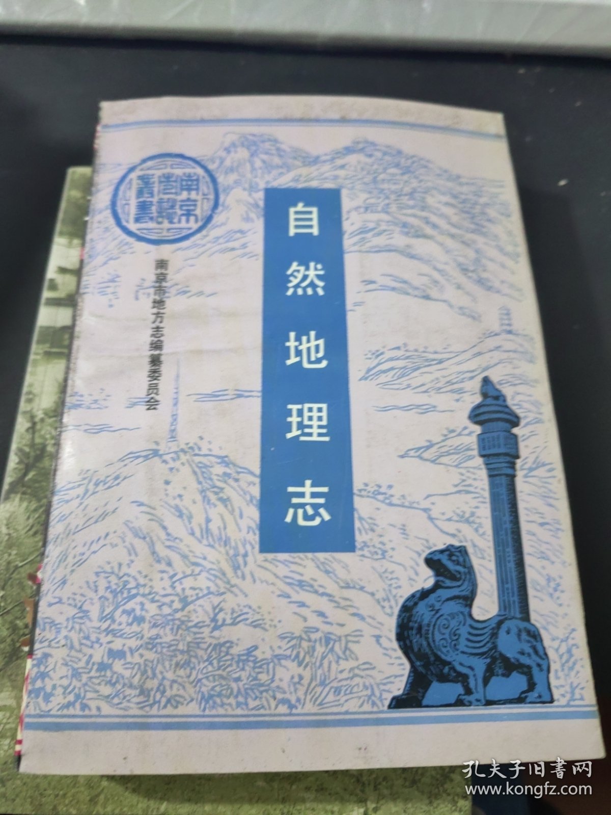 南京市志丛书 自然地理志