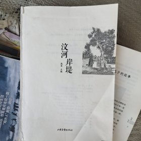 汶河岸堤