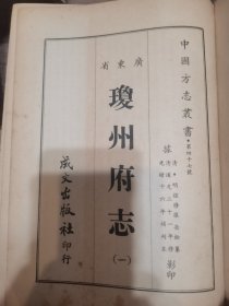 琼州日志