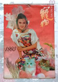 上世纪挂历画1993年宠物 美女和小动物 塑料薄膜全13张 缺衬纸2张