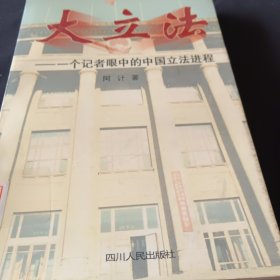 大立法:一个记者眼中的中国立法进程
