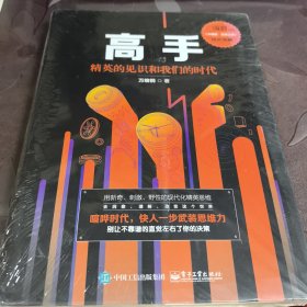 高手：精英的见识和我们的时代