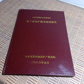 山东省潍坊市沿海地区地下卤水矿勘查地质报告