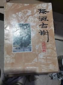 婺源古树