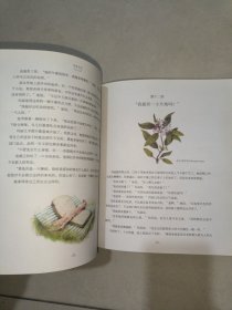 秘密花园