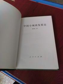 中国小城镇发展论