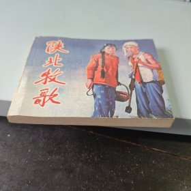 南岛风云