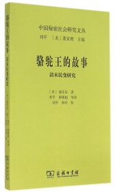 骆驼王的故事(清末民变研究)/中国秘密社会研究文丛