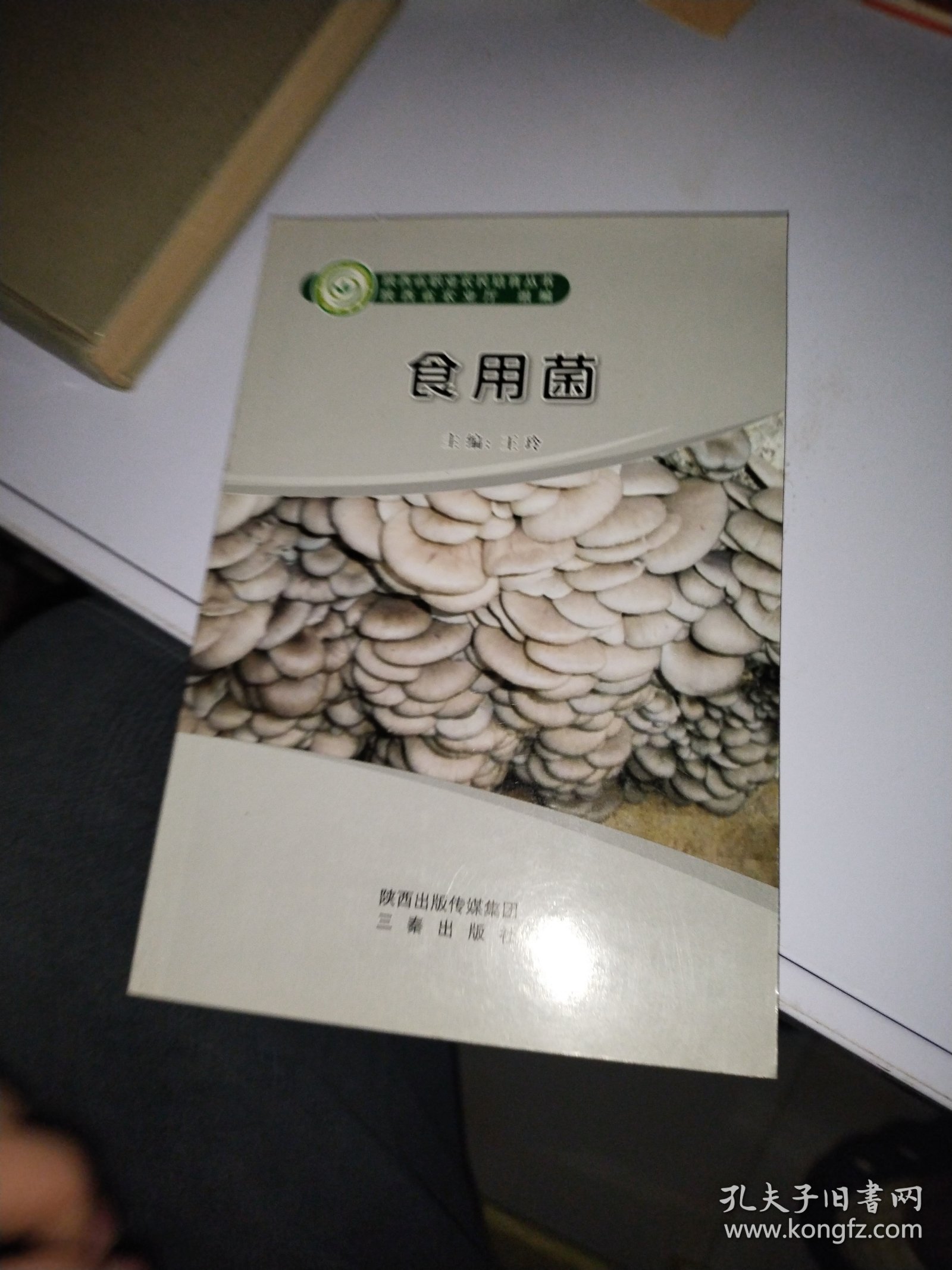 食用菌