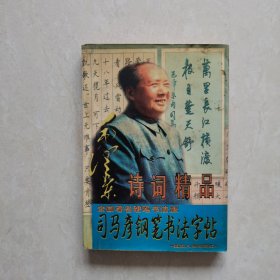 司马彦钢笔书法字帖——毛泽东诗词精品