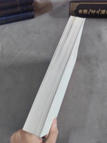 亚布力的光芒:中国企业家论坛白皮书