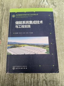 先进储能科学技术与工业应用丛书--储能系统集成技术与工程实践