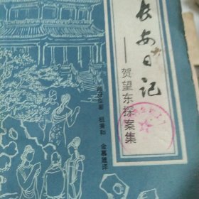长安日记 贺望东探案集