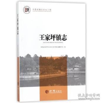 王家坪镇志/中国名镇志文化工程