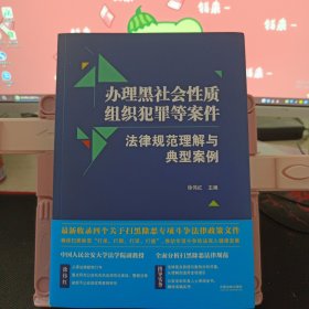 办理黑社会性质组织犯罪等案件法律规范理解与典型案例