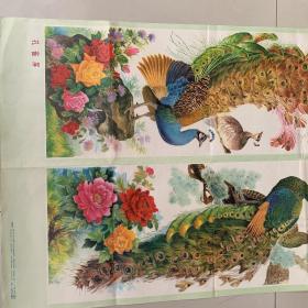 著名画家吴振兹创绘的二开老年画：孔雀屏(一张两条屏，上海人民美术出版社1984年1版2印、色彩鲜艳、保真保老)
