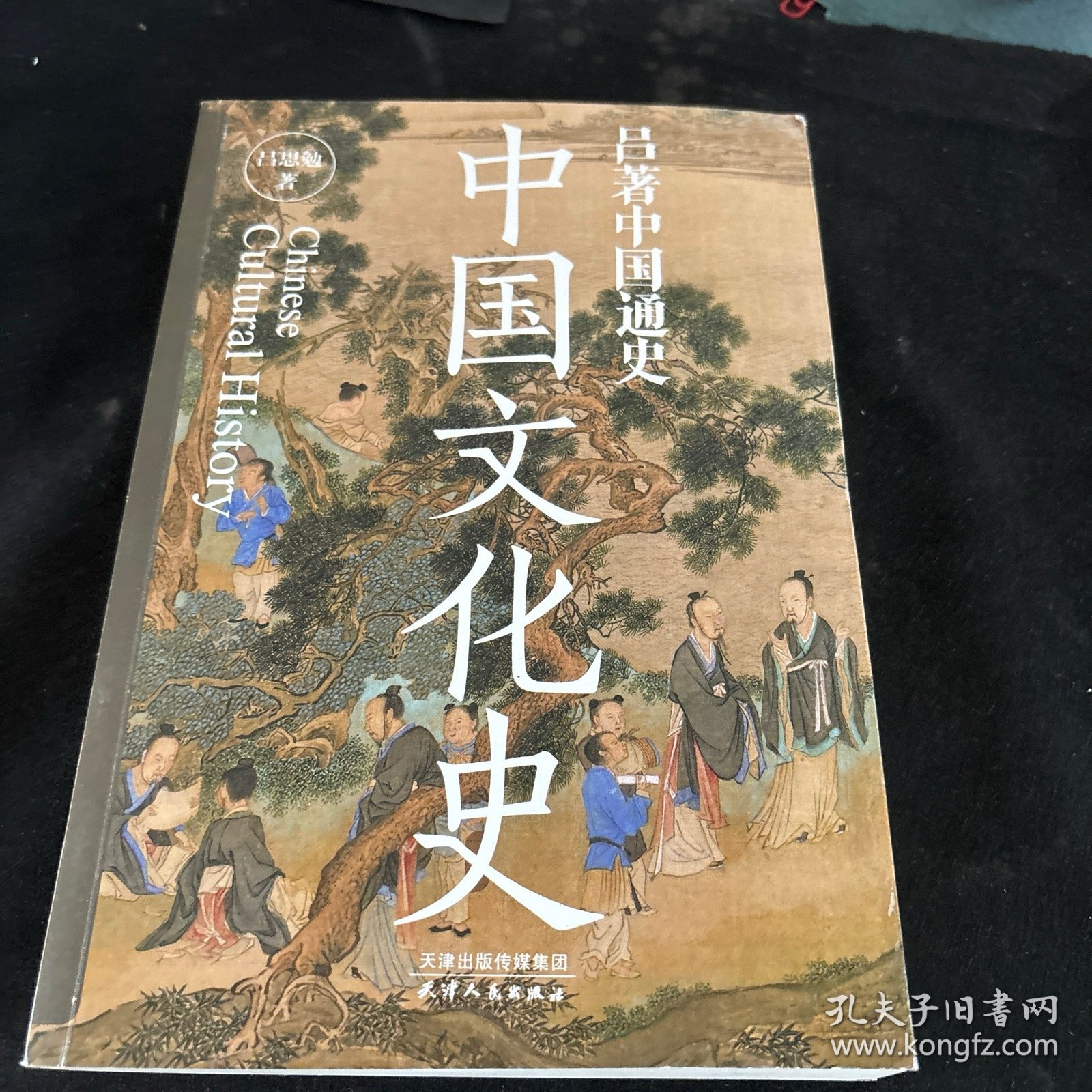 吕著中国通史：中国文化史--一本书讲透中国文化史。顾颉刚、杨联陞、钱穆、柏杨、易中天等人推崇备至